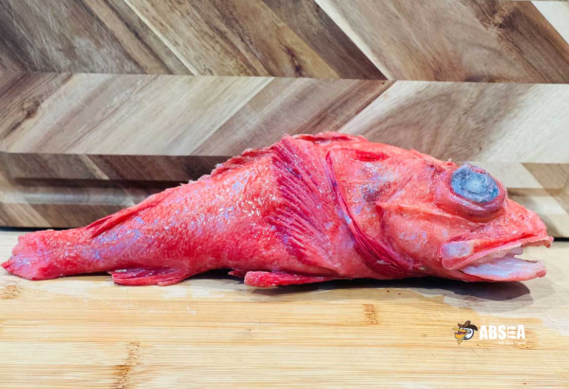 Wild Whole Round Thornyhead Rockfish